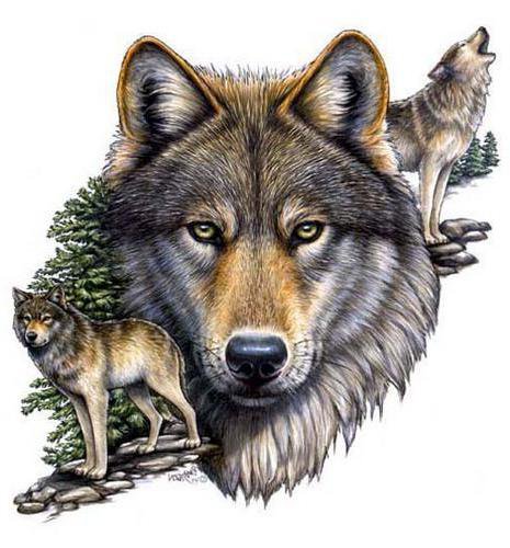 волки - оригинал