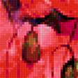 Предпросмотр схемы вышивки «маки» (№363366)