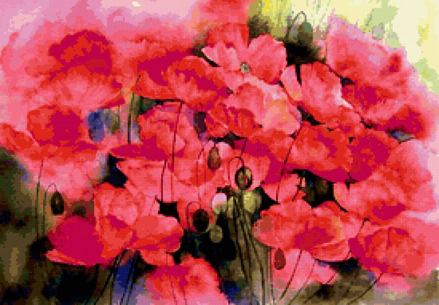 маки - цветы - предпросмотр