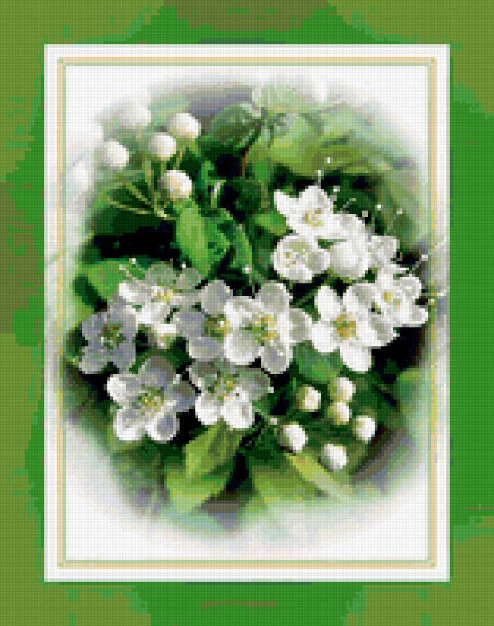 №363369 - сады, природа, цветы, весна - предпросмотр