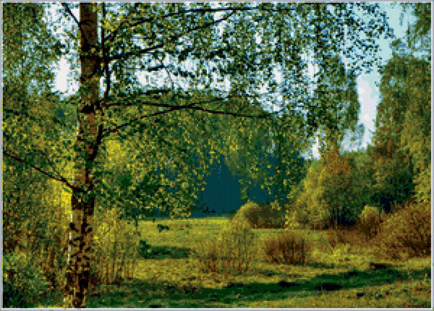 №363373 - береза, природа, весна, деревья, пейзаж - предпросмотр