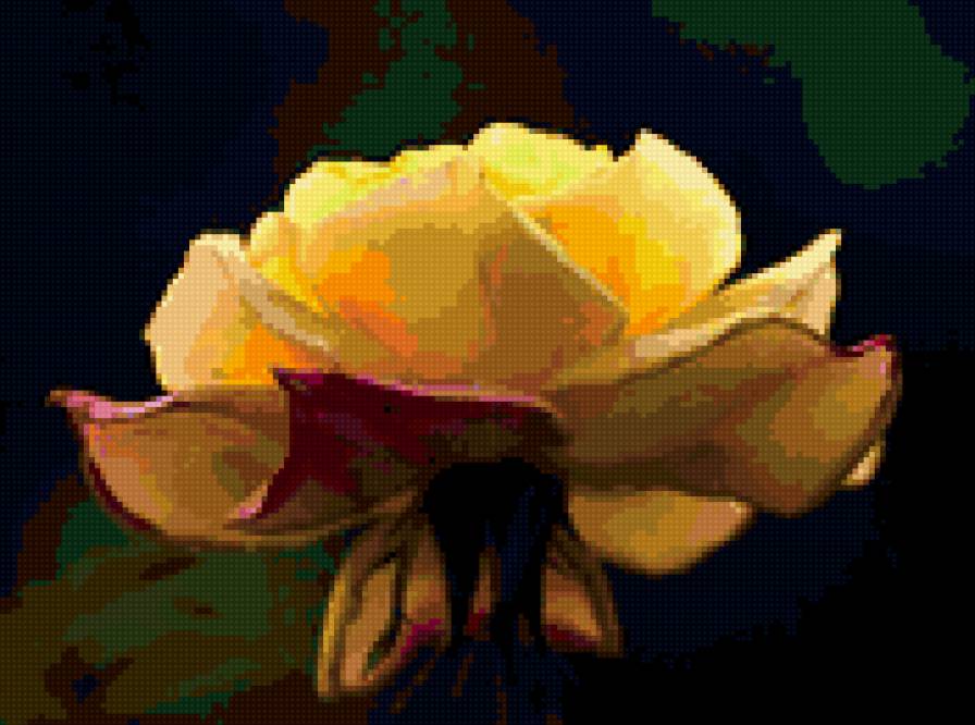 роза - цветок, роза, розы, цветы - предпросмотр