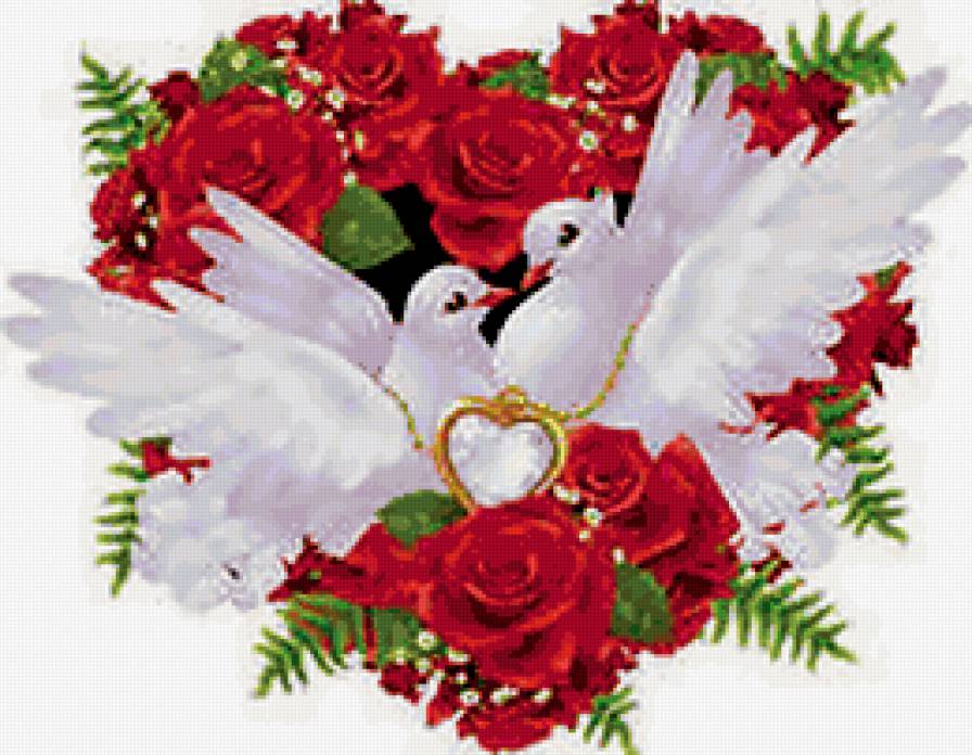 Голуби - предпросмотр