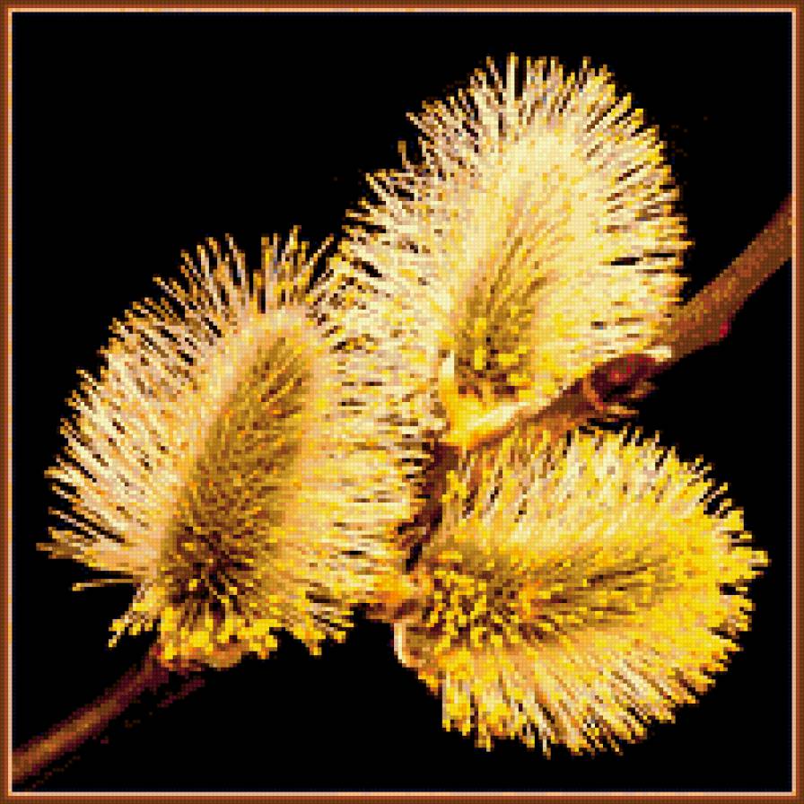 верба - верба, цветы, весна - предпросмотр