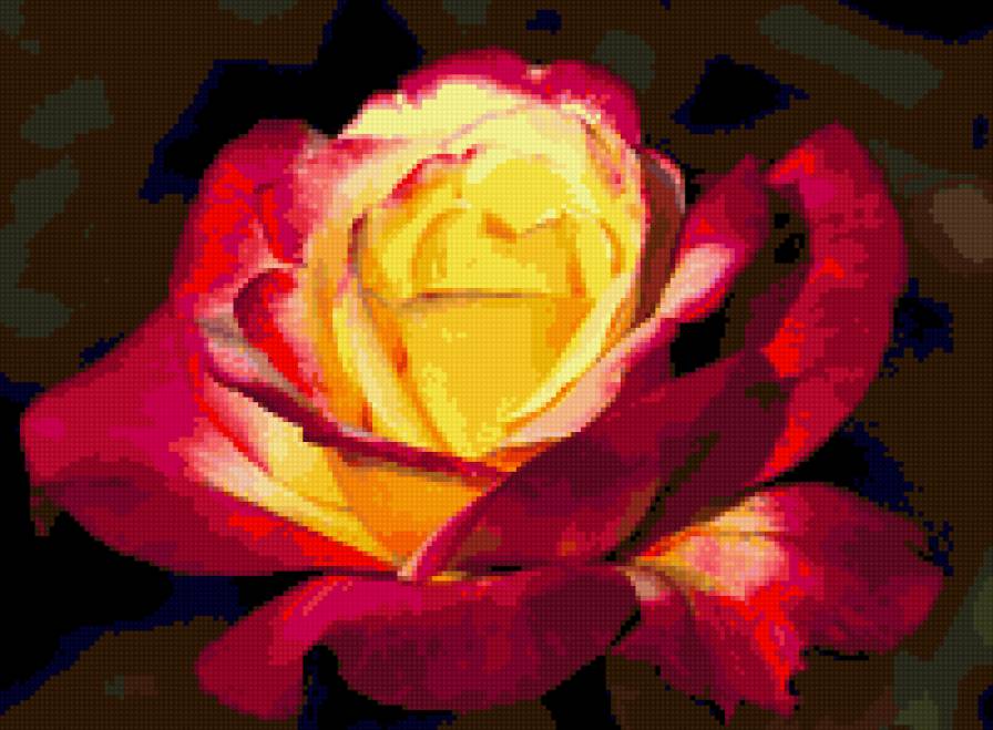 роза - цветы, розы, роза, цветок - предпросмотр