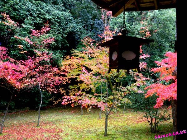 №363549 - оригинал