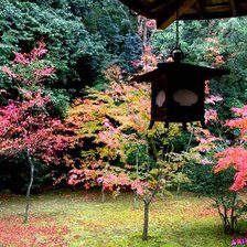 Схема вышивки «№363549»