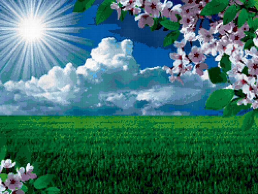 солнце - солнце, облако, мир, небо, поле, ветка, цветы, природа, вид - предпросмотр