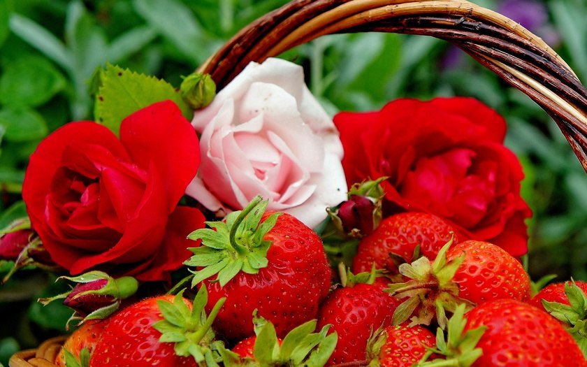 клубника - ягоды, цветы, клубничка, корзина, розы - оригинал