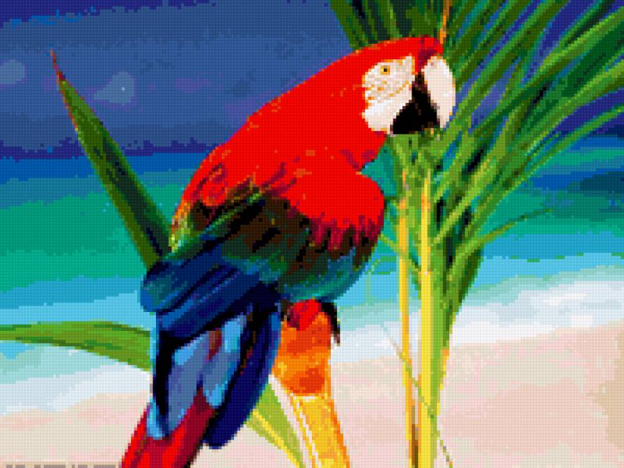 ПОПУГАЙ - предпросмотр