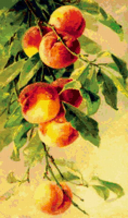 персики - ветка, фрукты, персики - предпросмотр