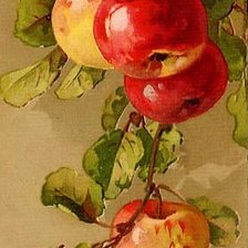 Оригинал схемы вышивки «яблоки» (№363625)