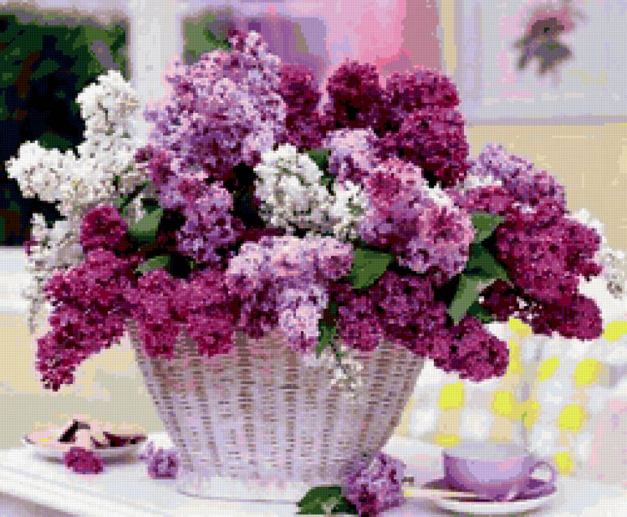 букет сирени - цветок, сирень, растение - предпросмотр