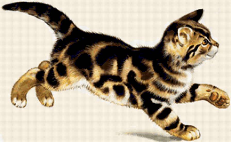 кот - для подушки - предпросмотр