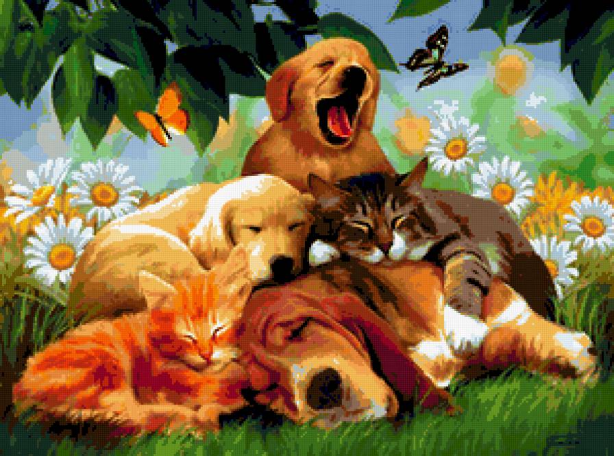 друзья - животные - предпросмотр