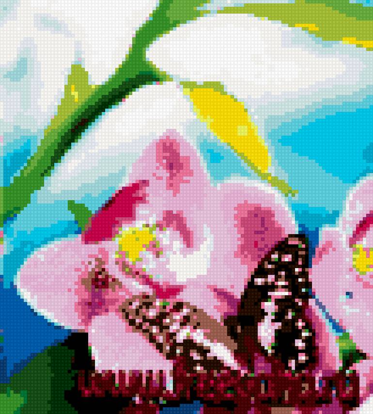 Бабочка на цветке - бабочка, цветы, лето - предпросмотр