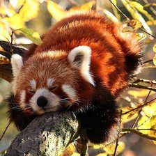 Схема вышивки «№363825»