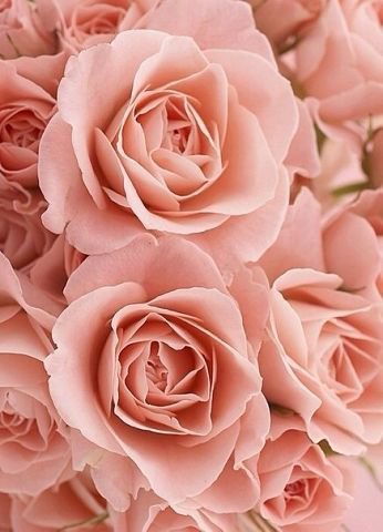 №363979 - оригинал