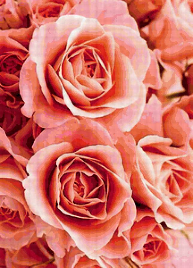 №363979 - предпросмотр