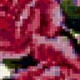 Предпросмотр схемы вышивки «розы (подушка)» (№364005)