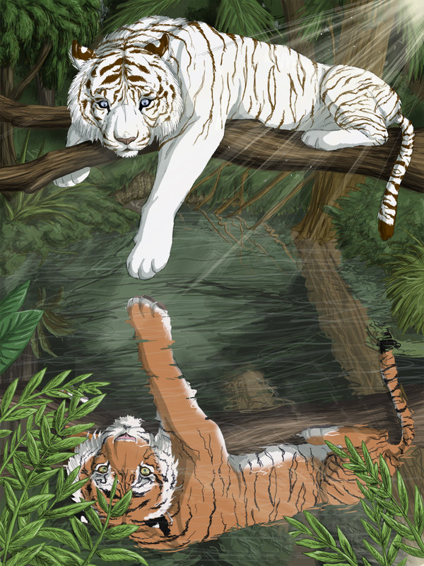 тигры - животные, тигр, кошки, природа, хищники - оригинал