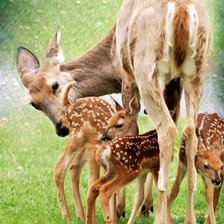 Схема вышивки «№364140»