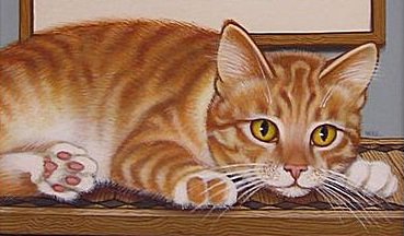 Кошечка - животные, кошки - оригинал