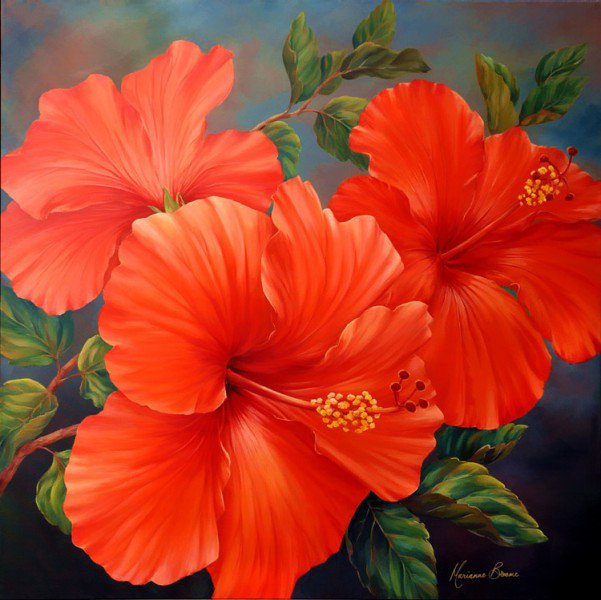 гибискус - оригинал