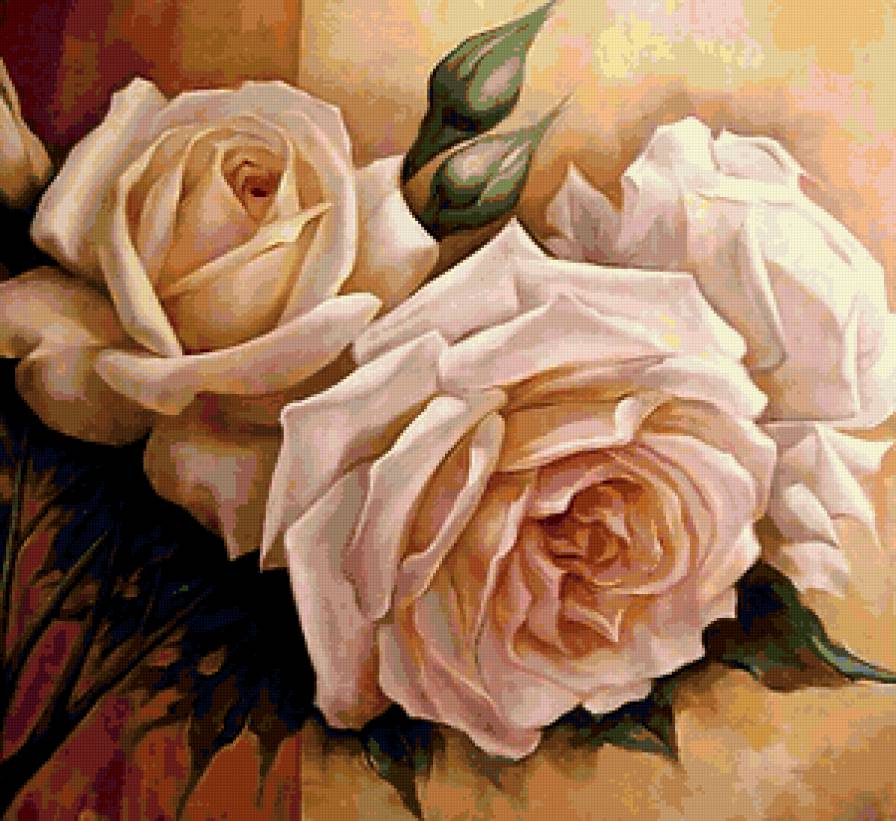 Розы - цветы - предпросмотр