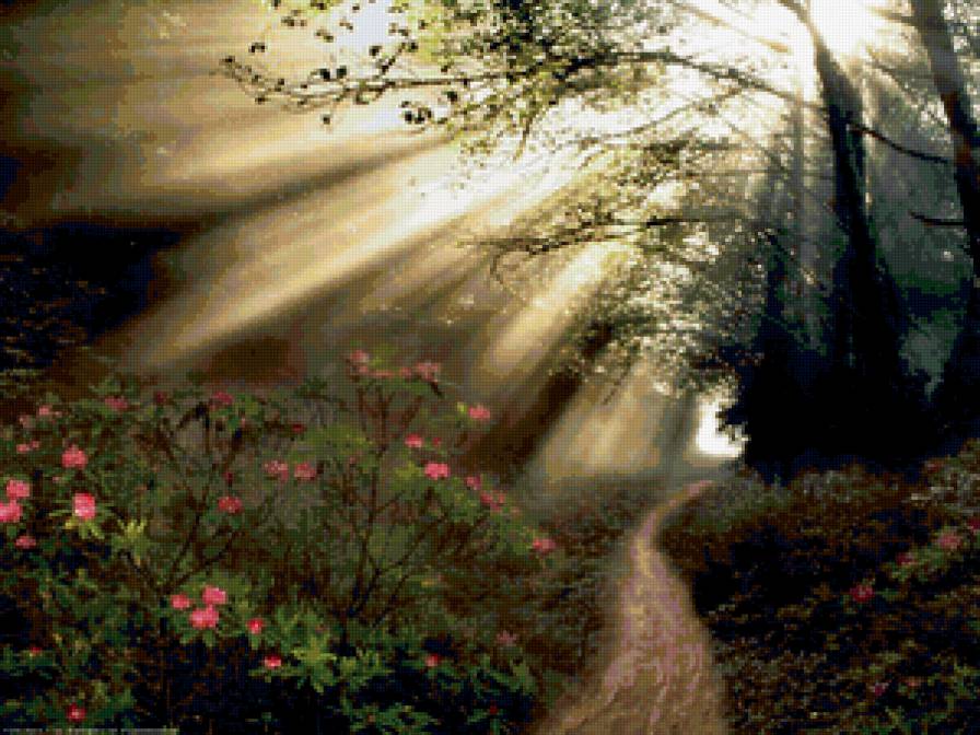 тропинка в лесу - предпросмотр