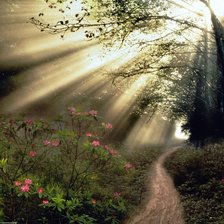 Схема вышивки «тропинка в лесу»