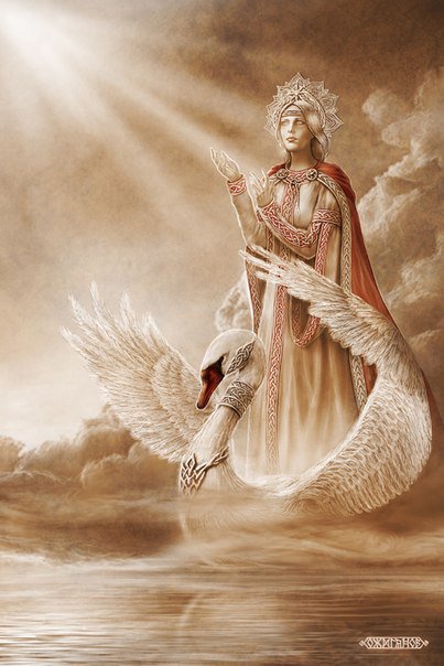 №364663 - оригинал