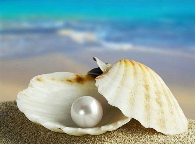 Жемчужина моря - оригинал
