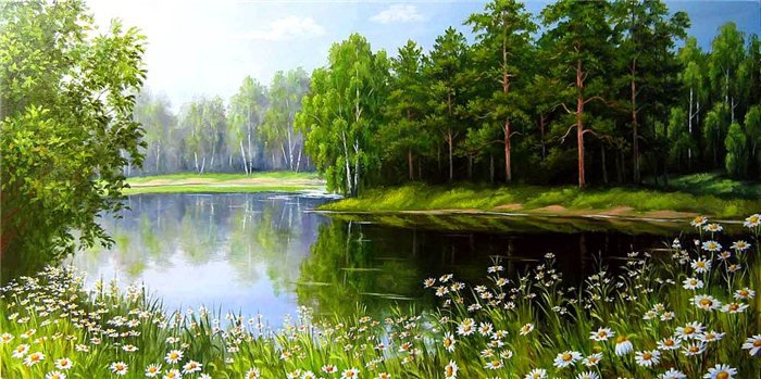 ромашки у озера - природа, вода, цветы, лето, деревья - оригинал