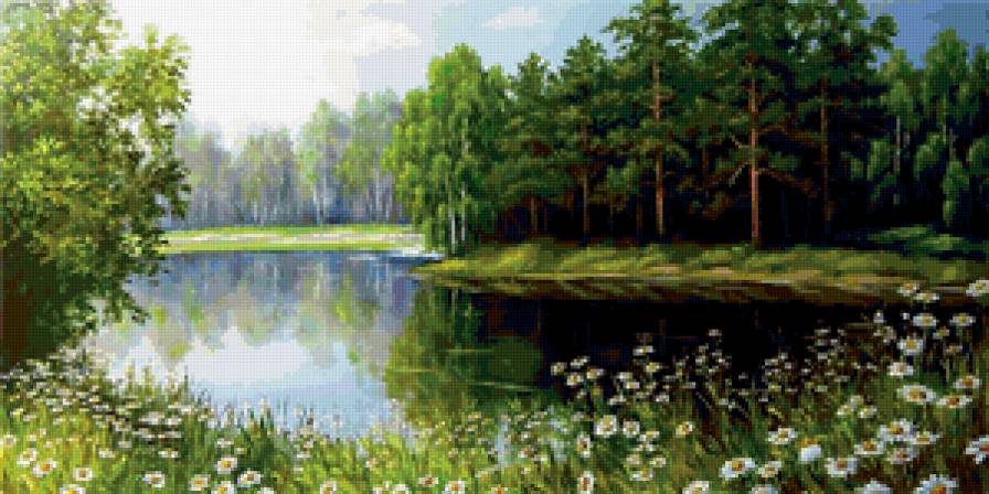 ромашки у озера - лето, вода, цветы, природа, деревья - предпросмотр