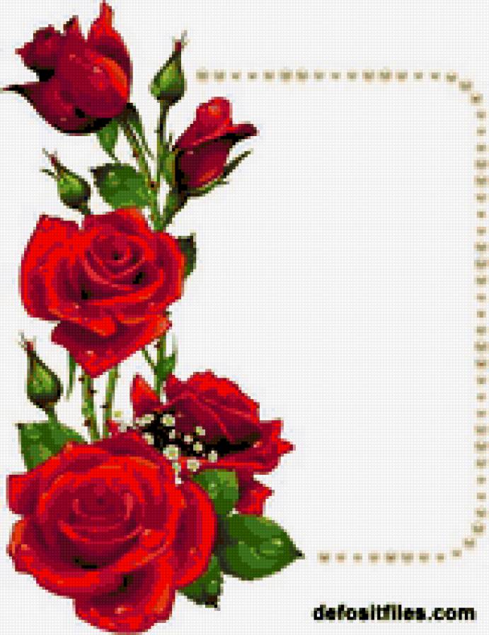 много роз - предпросмотр