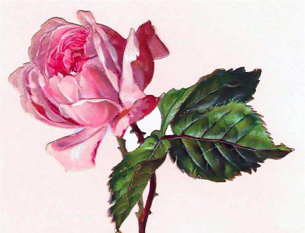 для открыт - оригинал