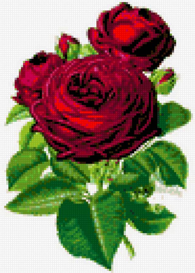 три розы 130 дмс - предпросмотр