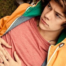 Схема вышивки «Harry Styles»