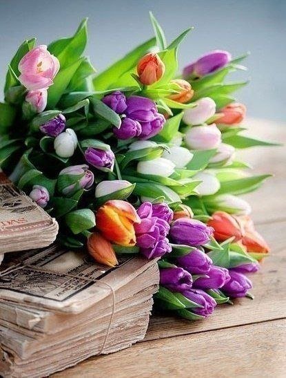 тюльпаны - цветы, тюльпаны, букет - оригинал
