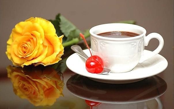 №364997 - оригинал