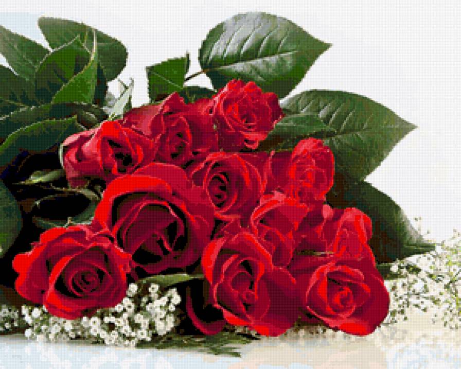 розы - предпросмотр