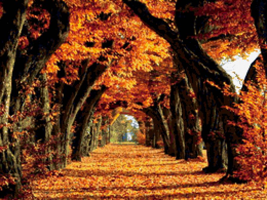 Золотая аллея - деревья, осень, природа, золотая, аллея - предпросмотр