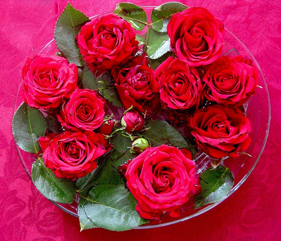 розы - розы, цветы, букет - оригинал