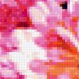 Предпросмотр схемы вышивки «хризантемы» (№365508)