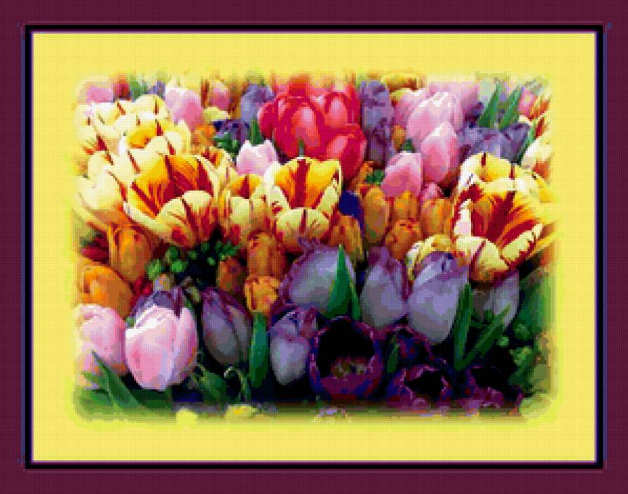 №365629 - предпросмотр