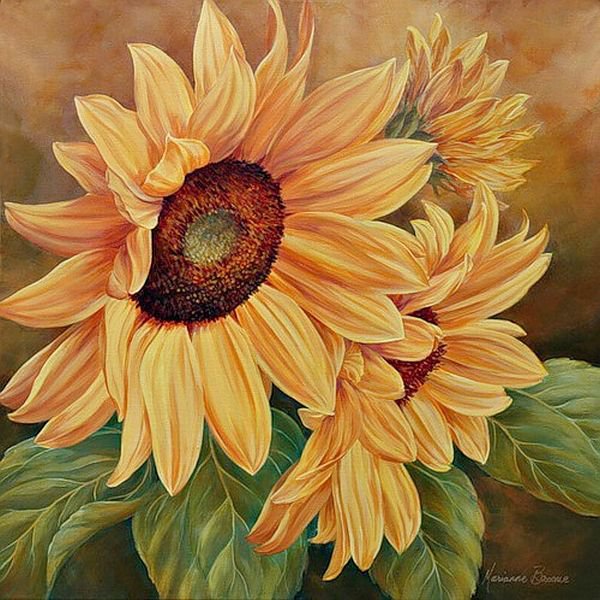 подсолнухи - цветы - оригинал