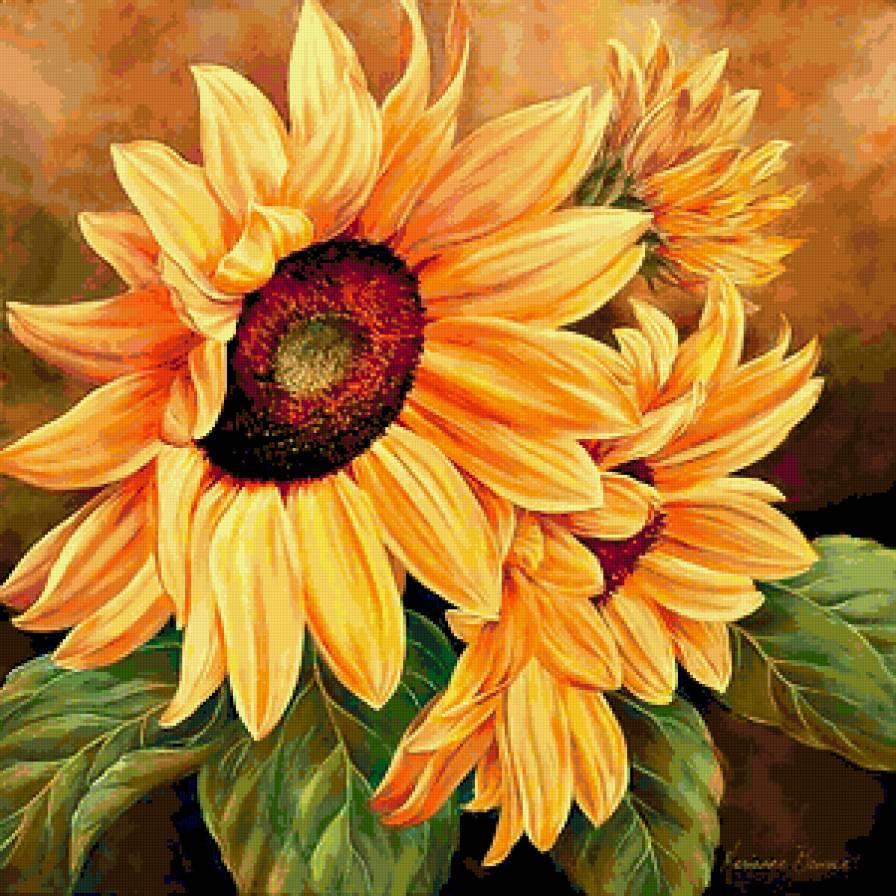 подсолнухи - цветы - предпросмотр