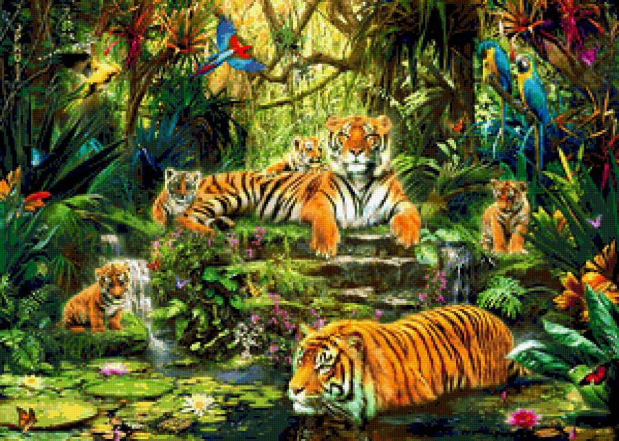 тигры - животные - предпросмотр