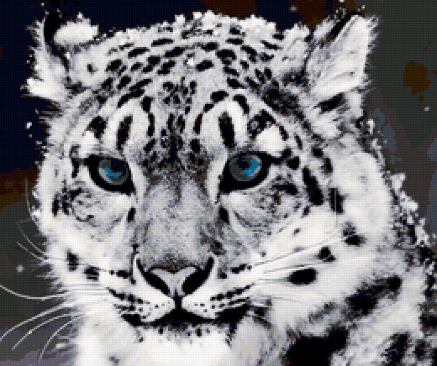 Снежный барс - животные - предпросмотр